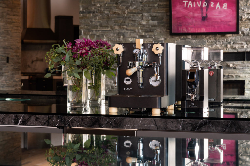 black bianca knockout by clive coffee