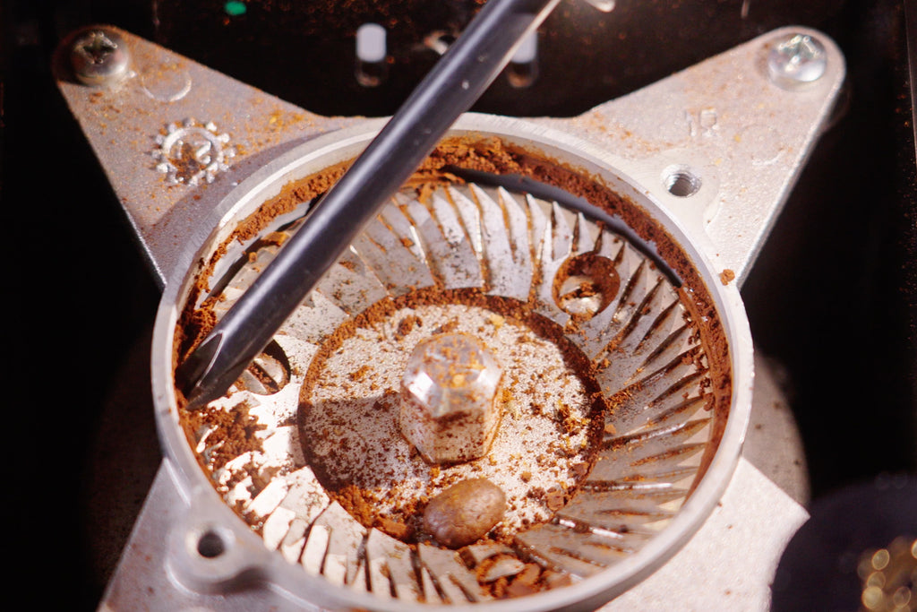 coffee jam in an overhead view of a grinder's burr chamber lifestyle by clive coffee